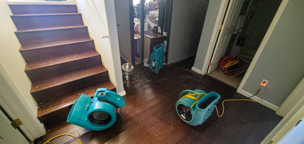 Best Basement water damage restoration  in Cumberland Hill, RI